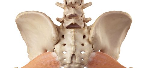 How Students in Massage Courses Can Treat Piriformis Syndrome