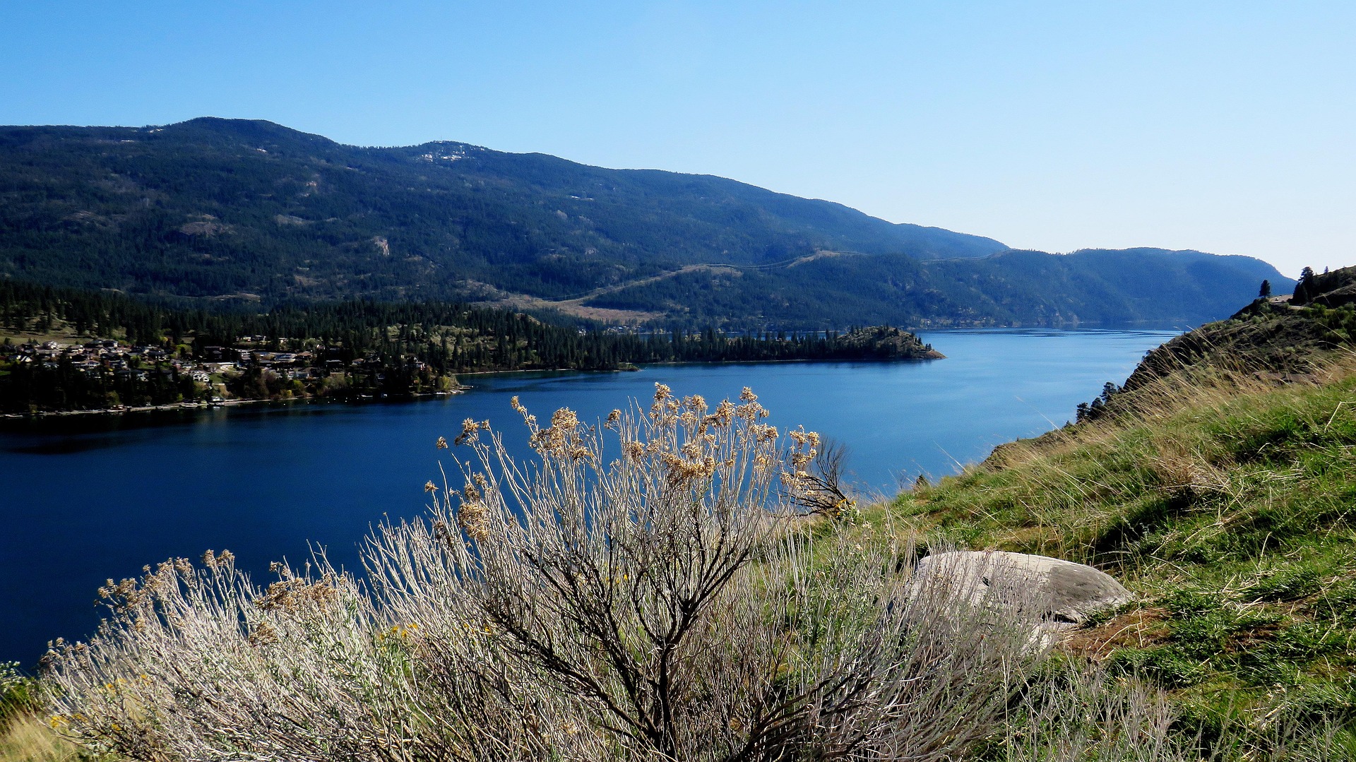 Lake Life in Vernon