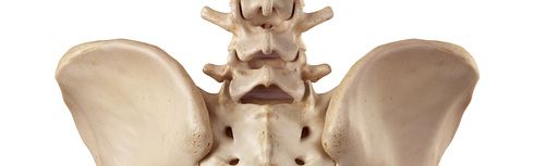How Students in Massage Courses Can Treat Piriformis Syndrome